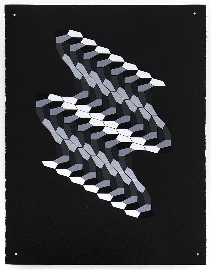 Type 15, 2015 Screen print, acrylic on paper, inch