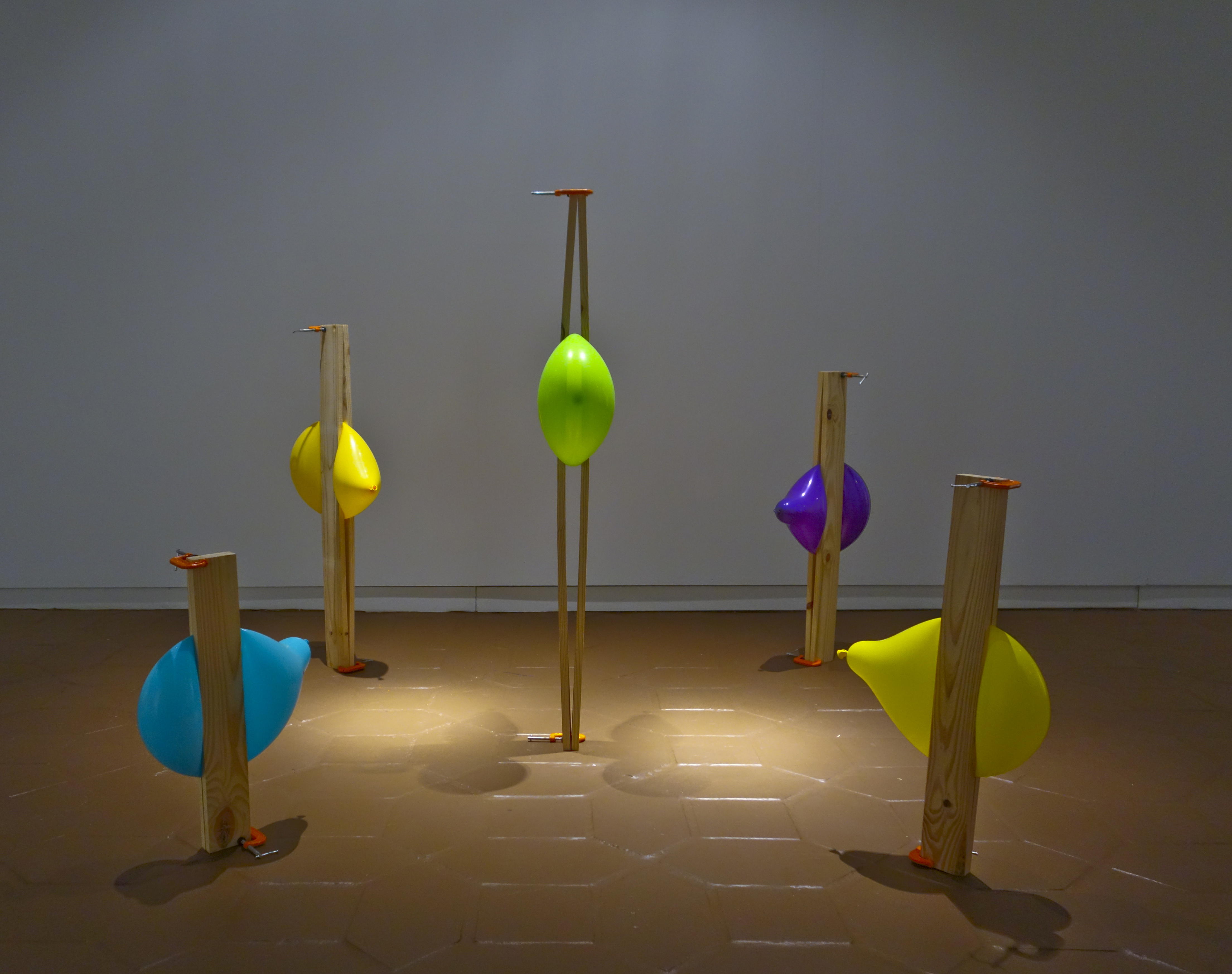 se juega con aire y fuerza.2013.Latex balloon, pine wood, clamps._60_x60_x48_