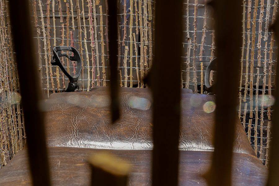 Photograph through a see-through curtain made of thorns. A stirrup is visible, and the brown leather medical gynecological table is visible. The curtain of thorns is visible beyond the stirrups.