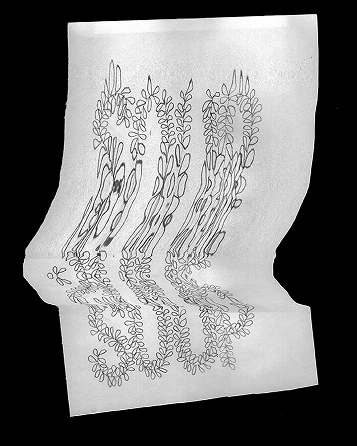 image description: this image is a scan of a drawing featuring the word Soup written on white paper. The letters look like they are drawn using kelp plants. The image is obscured as it is a heavily distorted scanned image .
