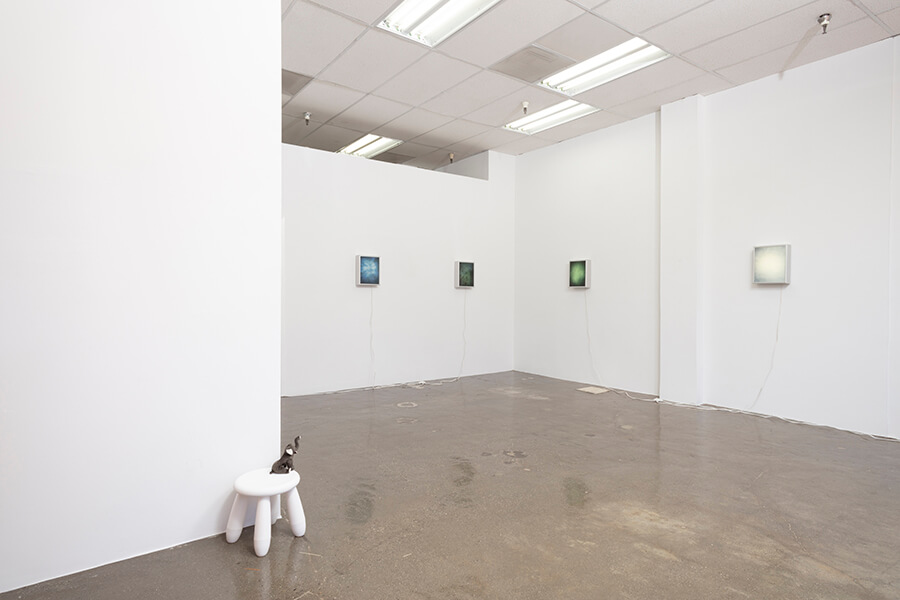 image description: This photograph features an installation view of Ellen Schafer's solo exhibit titled "Simplicity". There is a white stool with a stuffed elephant on top that is displayed not he floor. There are several other works that appear to be illuminated on the other two walls of the gallery.