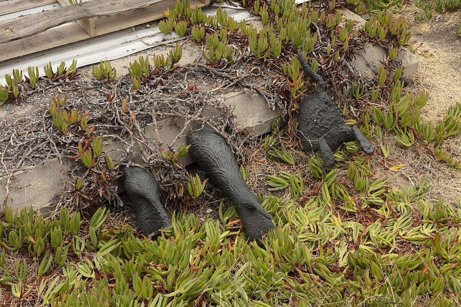 Nina Miuccia LVL3 2025