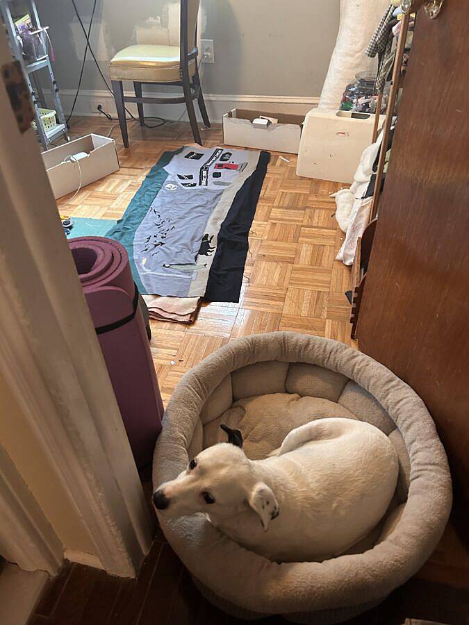 Emma Goldstein LVL3 2025