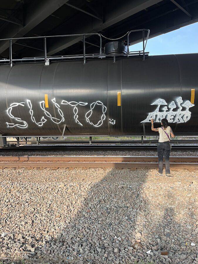 Elberto Muller Sluto Vipog LVL3 2025