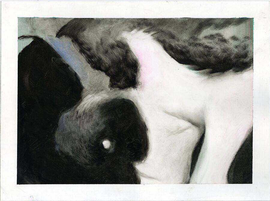 Ruby Beenhouwer LVL3 2025